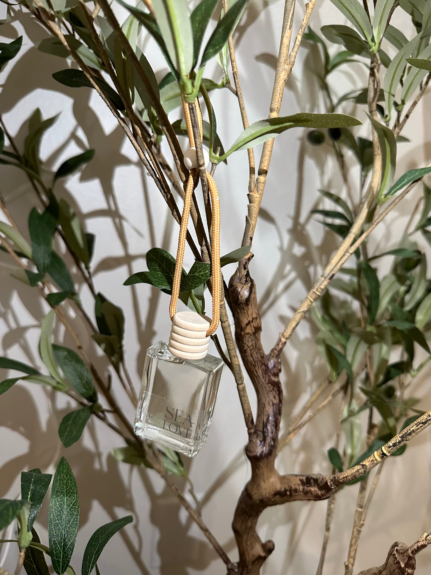 HANGING DIFFUSER