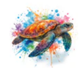 Turtle Magnet