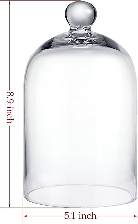 Glass Cloche