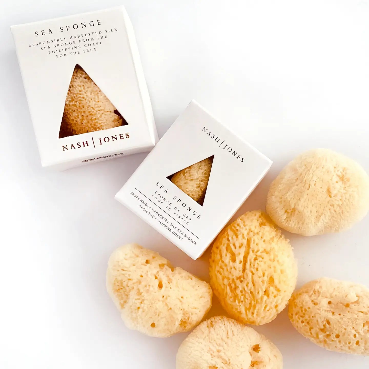 Sea Sponge