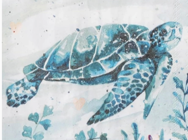 DIY Clam Shell Decoupage Kit