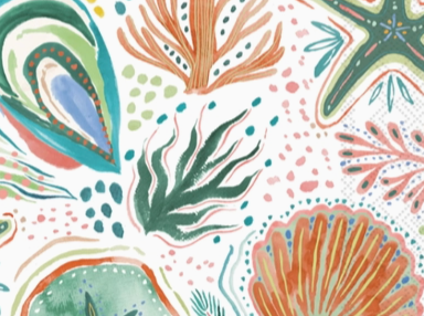 DIY Clam Shell Decoupage Kit