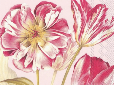 DIY Clam Shell Decoupage Kit