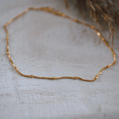 Ankle Bracelets, Necklaces, Earrings