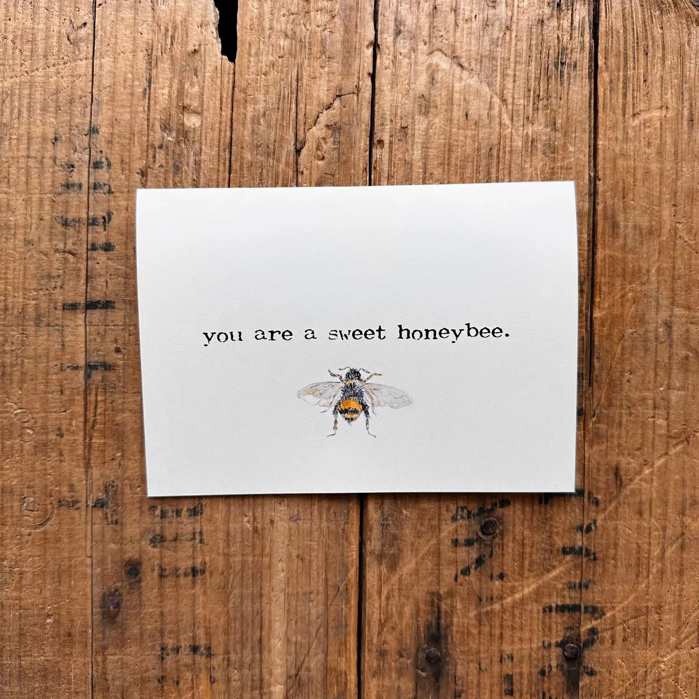Alison Rose Definition Prints